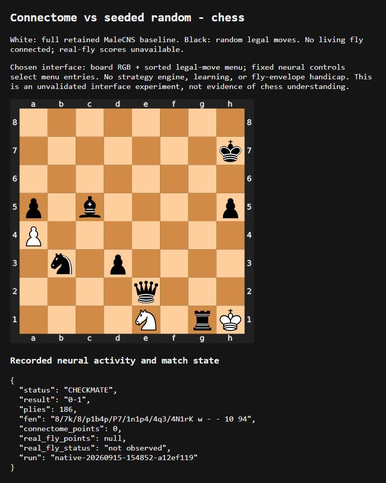 The actual experiment interface during the completed game: the final checkmate board as an SVG, with the live match-state JSON below