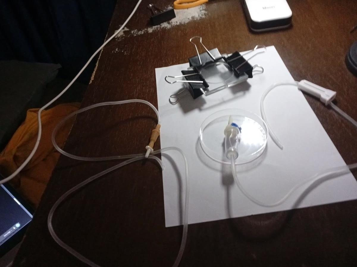 The wider bench: the clip-mounted arena on a sheet of paper, a second dish with a tubing line, the phone, and cabling