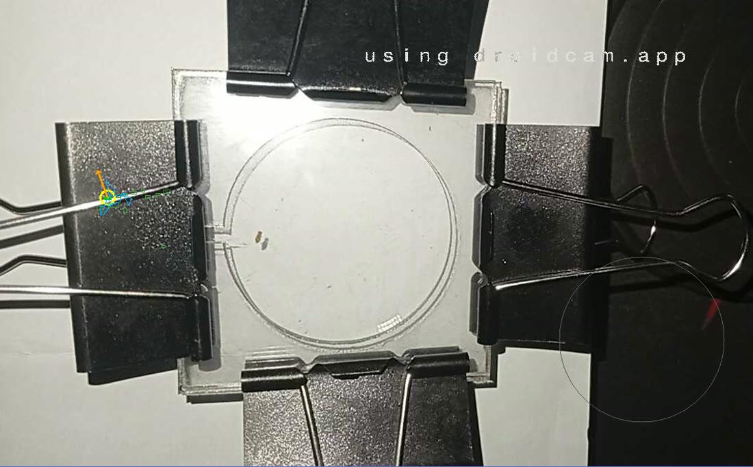 The actual tracking view: the circular arena held by binder clips under the DroidCam feed, with the orientation marker near the left clip and the fly visible as a speck inside the disc